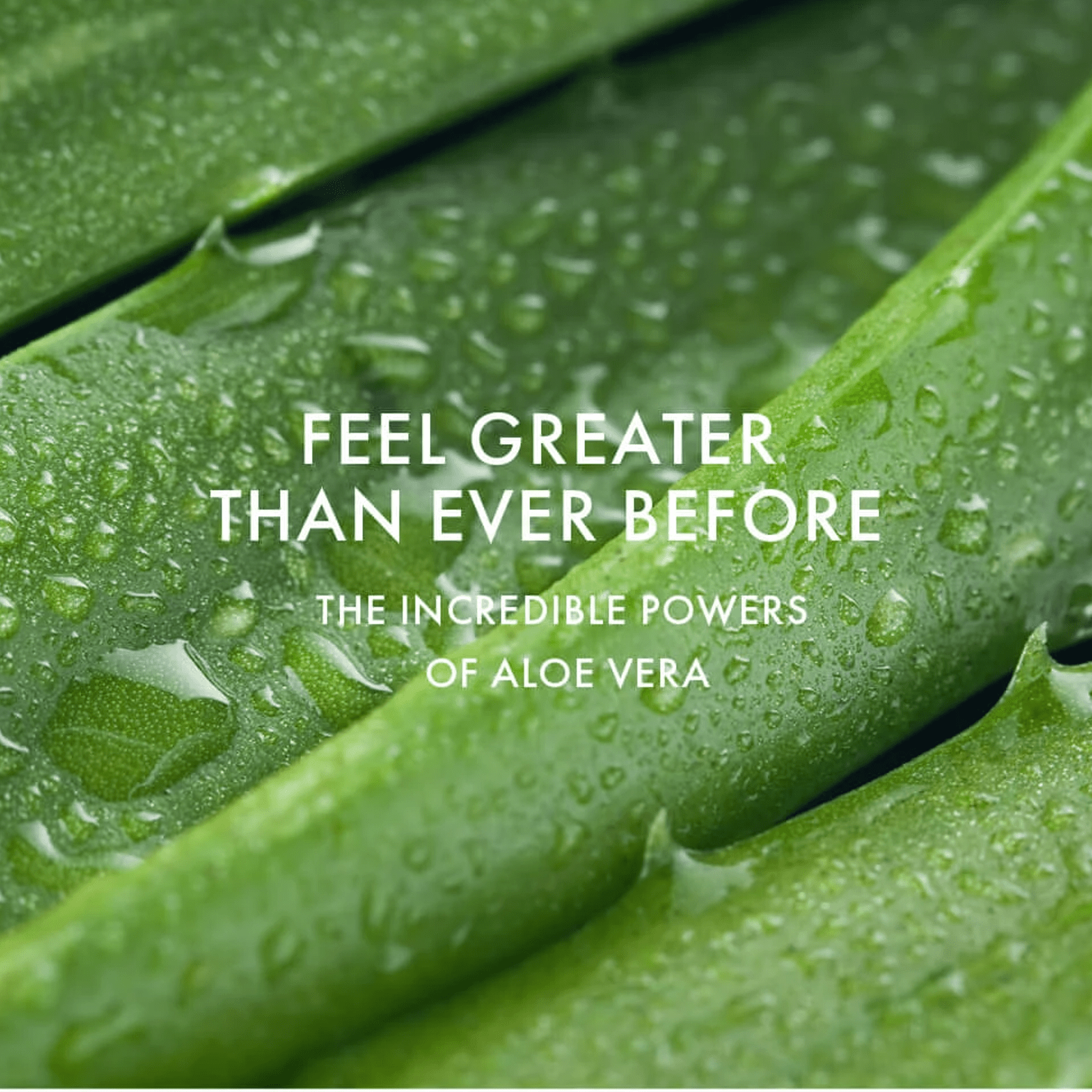 FARMASi Nutriplus Aloe Glow - Tess Marketplace